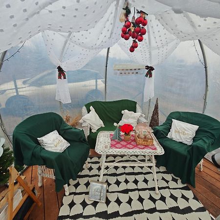 The Wooden Nest -Covasna Villa Bagian luar foto