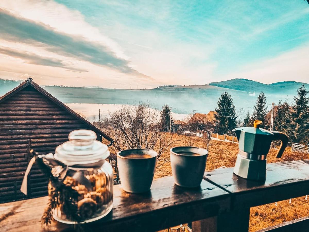 The Wooden Nest -Covasna Villa Bagian luar foto