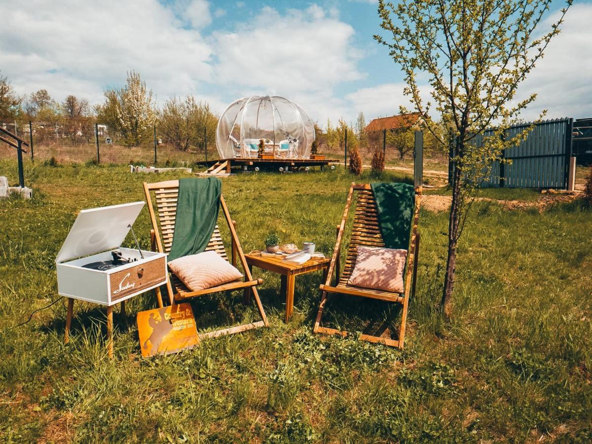 The Wooden Nest -Covasna Villa Bagian luar foto