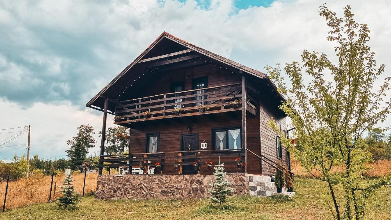 The Wooden Nest -Covasna Villa Bagian luar foto